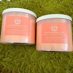 2 Blush germanium & fern candles